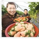 태화농장 이미지