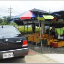 국원농장 이미지