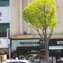 러브플라워마켓 이미지