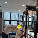 피브이짐 이미지