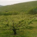 용정농장 이미지