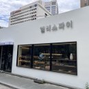 엘리스파이 이미지