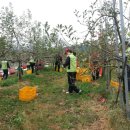 광주세무소 이미지