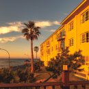 갓 따옴 이미지