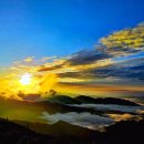 복이 행정사사무소 이미지