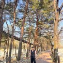 영월동강공인중개사사무소 이미지