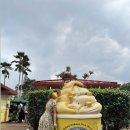 알짜천국 | [하와이] 하루로 끝내는 오아후 알짜코스 일일투어🩵 내돈내산 찐후기.