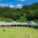 댕댕이 숲 이미지