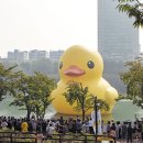 석촌호수로 이미지