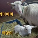 자연의 순환 이미지