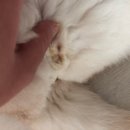 하남플러스동물병원 이미지