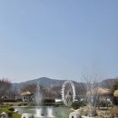 정원목장 | [전북 고창군] 들꽃카페수목원, 폐교를 리모델링한 이국적인 정원 카페 후기 | 상하목장 아이스크림