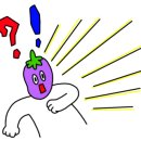 에꼬르앙팡어린이집 이미지