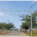 백송식당 이미지