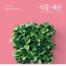 초목예찬