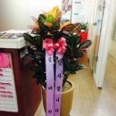 마북초등학교 이미지