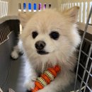 뚱땅뚱땅 이미지