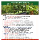달시스타일 이미지