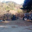 금오2농장 이미지