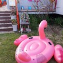 화진꽃잠펜션 이미지