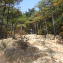 파스코스 이미지