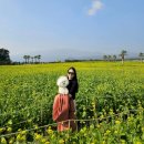 숲속노을 동물병원 이미지