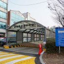 금호망개떡 | 광주 떡집 현지인이 추천하는 망개떡 맛집 금호망개떡