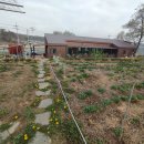 민들레농장 이미지