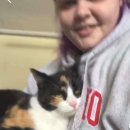 펫 아지트 이미지