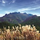 예술로 피어나는 천 이미지