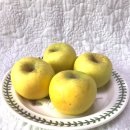 이미자농장 이미지