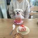 보흔바 이미지