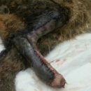 서진동물병원 이미지