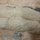 해와달어린이집 이미지