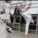 경희대 비앤비 태권도 이미지