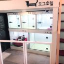 청북햇살 동물병원 이미지