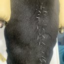 숲동물병원 이미지