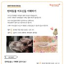 해마루 이미지