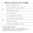 웰라이프 코칭 Daum카페