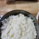 막창을품은맹구 이미지