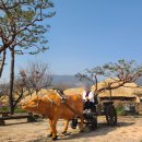 낙안읍성 관광안내소 이미지