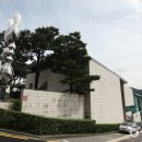 수애뇨339 이미지
