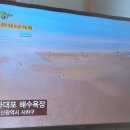 대변 산 곰장어 이미지