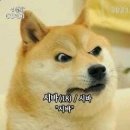 아니 - 강남구 삼성로145길 11-6 | 아니