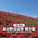 지하철2호선동의대역 | 하남 가볼만한 영산홍 명소 하남 미사한강공원 탐방기