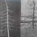 세형농장 이미지