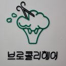 브로컬리헤어 이미지