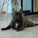 헤라호텔 이미지