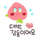부가레더