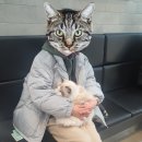 진영조은동물병원 이미지